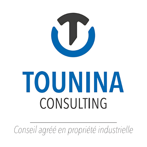 Logo de Tounina Consulting