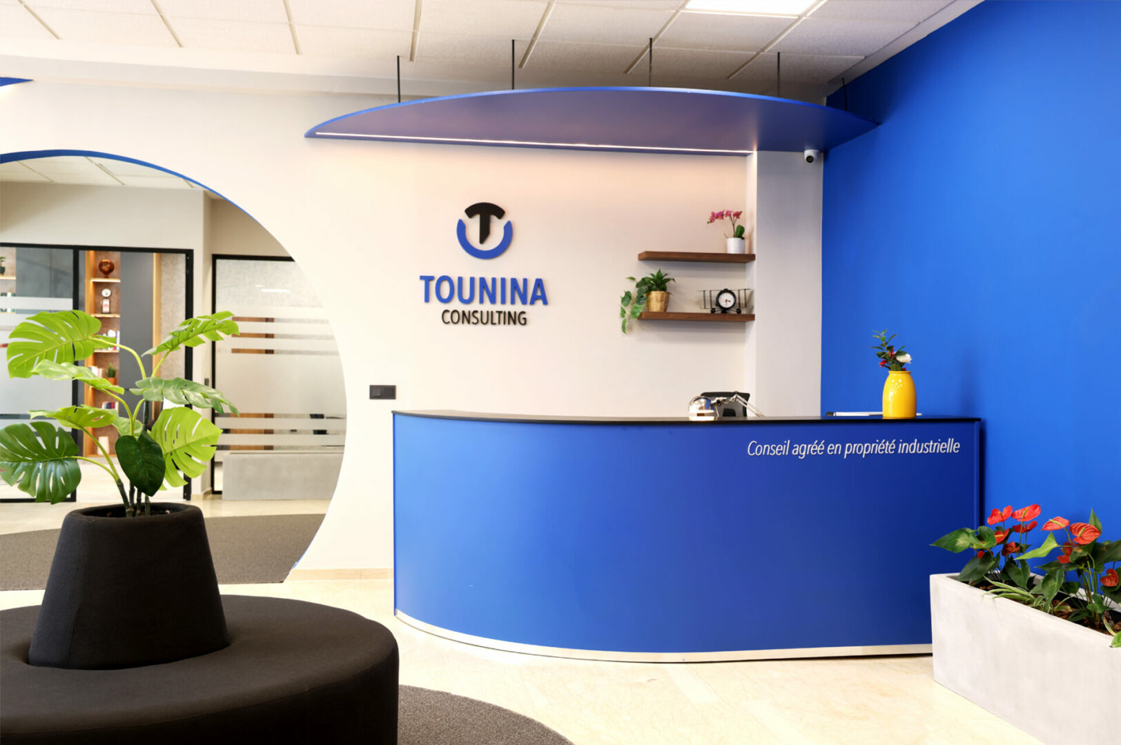 Vue de la réception de Tounina Consulting, avec un comptoir bleu, un logo bien visible, des étagères décoratives et des plantes vertes, créant une ambiance professionnelle et accueillante